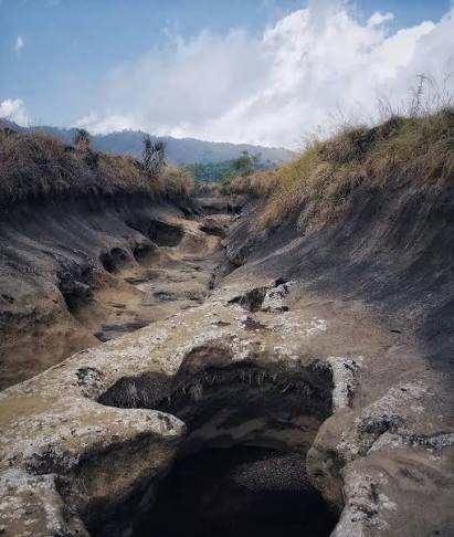 Fossil Park